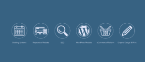 Wordpress customization service