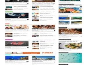 blog_website