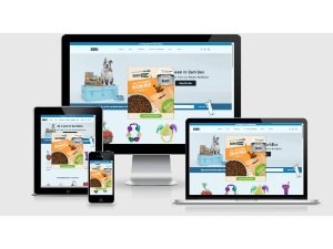 barkshop Health & Fitness company