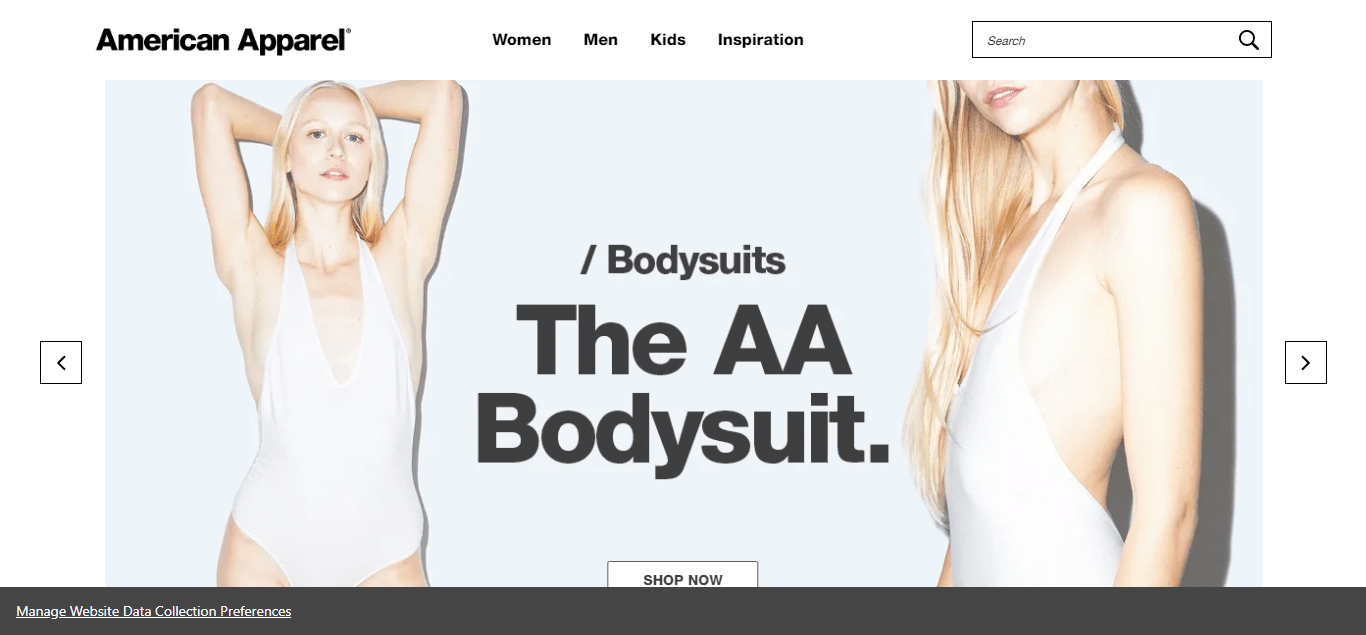 american apparel website development